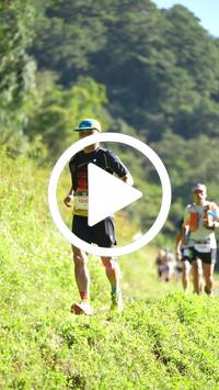 BIB:  <button type="button" onclick="openModal(26578554)" class="btn btn-primary btn-sm float-right" data-toggle="modal" data-target=".modal-high-quality">
                <i class="fa fa-download"></i> Download
                </button>